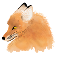 foxapiens